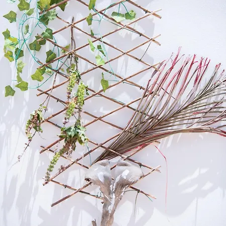 Anna Maria, Kapparis *