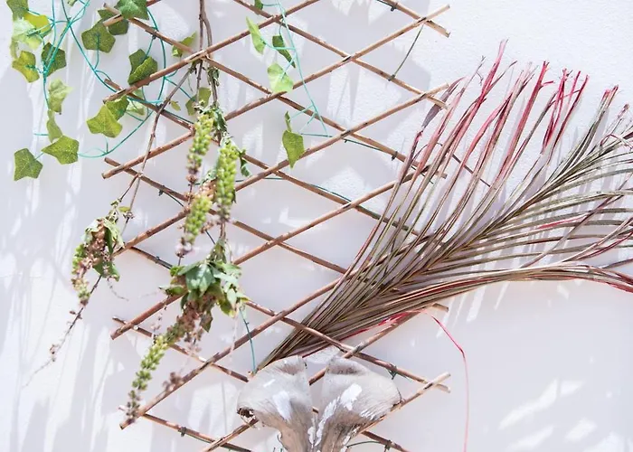 Anna Maria, Kapparis *